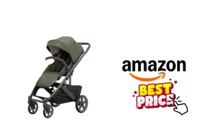 Travel Stroller vs Full Size Stroller